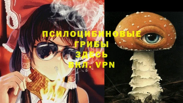 мефедрон Зеленодольск